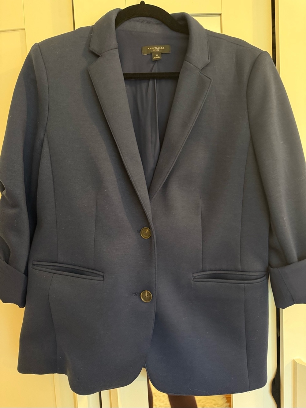 Ann Taylor Dark Navy Tailored Blazer
